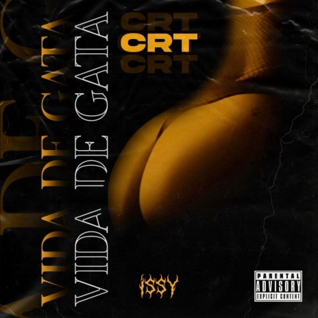 Vida de Gata ft. Issy | Boomplay Music
