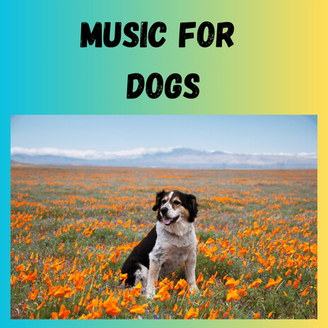 Woof Beats ft. Music For Dogs Peace, Relaxing Puppy Music & Calm Pets Music Academy
