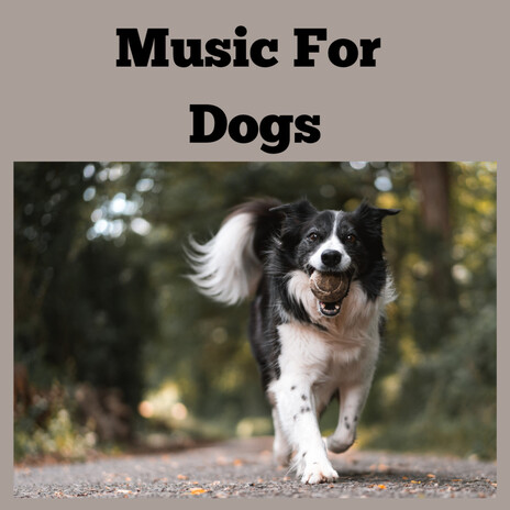 Gentle Dog Music ft. Music For Dogs Peace, Relaxing Puppy Music & Calm Pets Music Academy