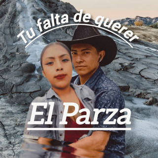 Tu falta de querer