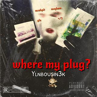 where my plug?