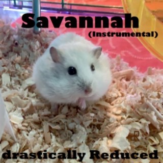 Savannah (Instrumental)