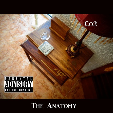 The Anatomy | Boomplay Music