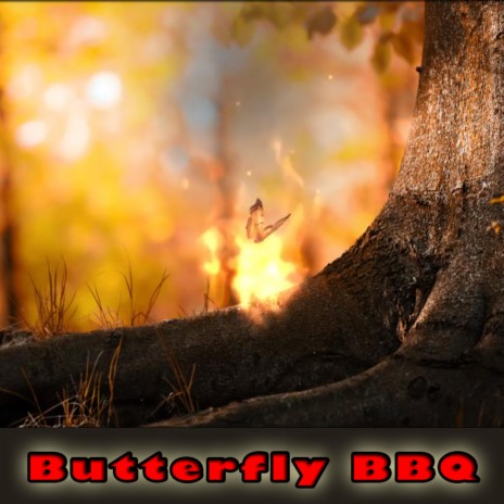 Butterfly BBQ | Boomplay Music