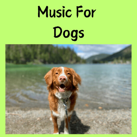 Soothing Relief ft. Music For Dogs Peace, Relaxing Puppy Music & Calm Pets Music Academy