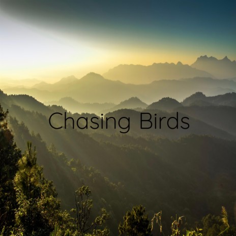 Chasing Birds