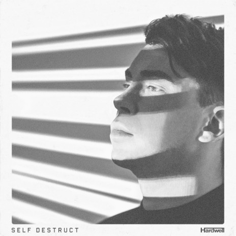 SELF DESTRUCT | Boomplay Music