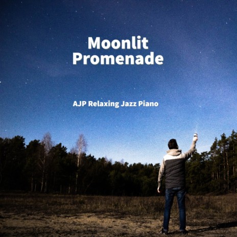 Moonlit Promenade | Boomplay Music