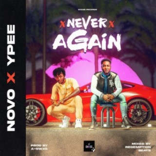 Never Again (feat. Ypee)