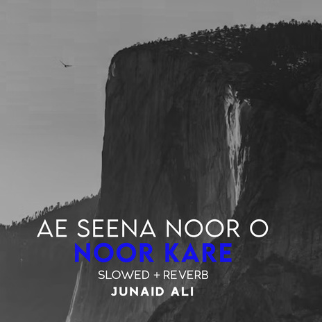 Ae Seena Noor o Noor Kare Lofi | Boomplay Music