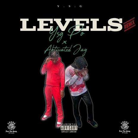 Levels (Remix) ft. Aktivated Jay | Boomplay Music