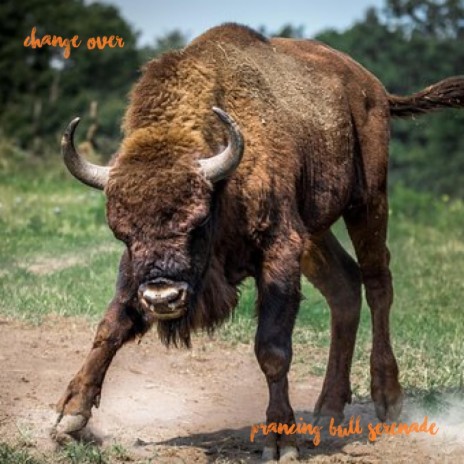 Prancing Bull Serenade (remastered) | Boomplay Music