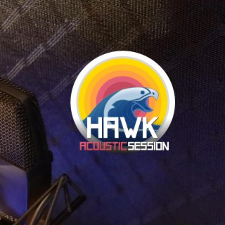 Hawk (Acoustic session)