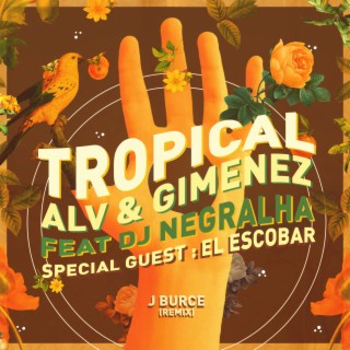 Tropical (J Burce Remix)