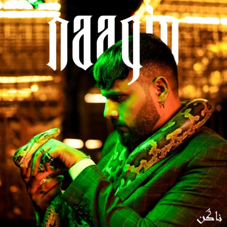 Naagin ft. Shahmeer Raza Khan | Boomplay Music