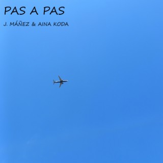 Pas a Pas ft. Aina Koda lyrics | Boomplay Music
