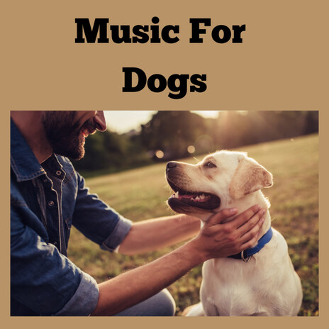 Snuggling Dog Music ft. Music For Dogs Peace, Relaxing Puppy Music & Calm Pets Music Academy