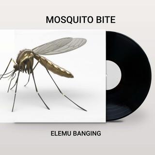 Mosquito bite