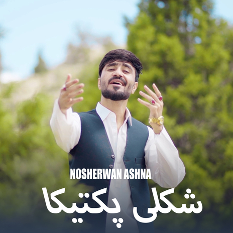 Shkuli Paktika | Boomplay Music