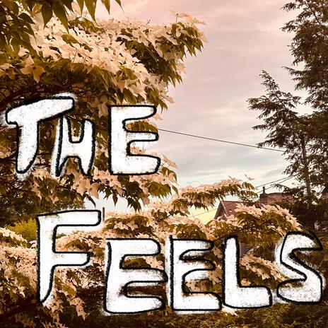 The Feels | Boomplay Music