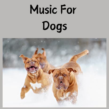 In The Clouds ft. Music For Dogs Peace, Relaxing Puppy Music & Calm Pets Music Academy