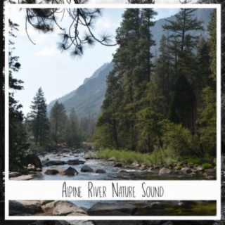 free music tag software free music tag software
