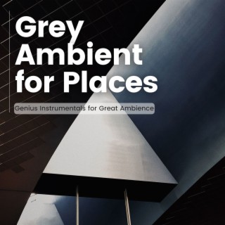 Grey Ambient for Places: Genius Instrumentals for Great Ambience