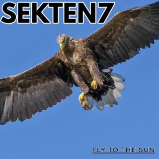 FLY TO THE SUN