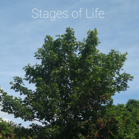Stages of Life | Boomplay Music