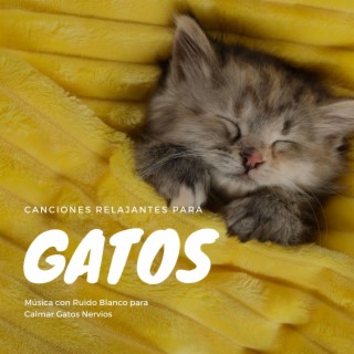 Canciones Relajantes para Gatos: Música con Ruido Blanco para Calmar Gatos Nervios