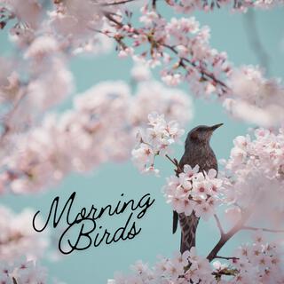 Morning Birds