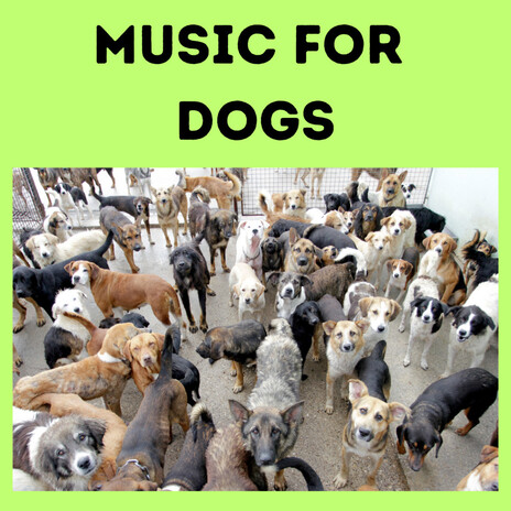 Music For Puppies ft. Music For Dogs Peace, Relaxing Puppy Music & Calm Pets Music Academy