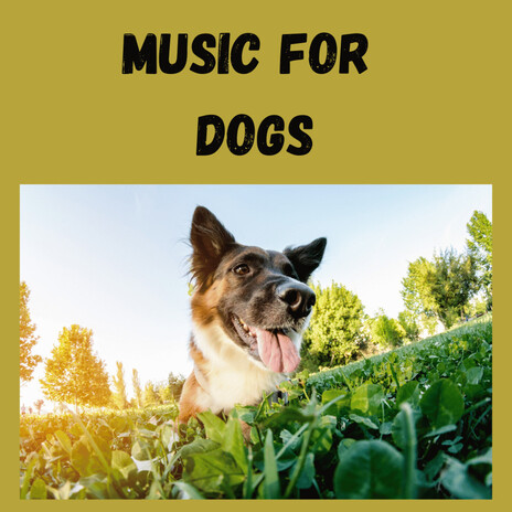 Dreamy Paws ft. Music For Dogs Peace, Relaxing Puppy Music & Calm Pets Music Academy