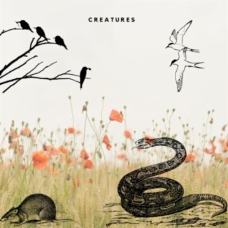 Creatures (feat. Q Dawg)