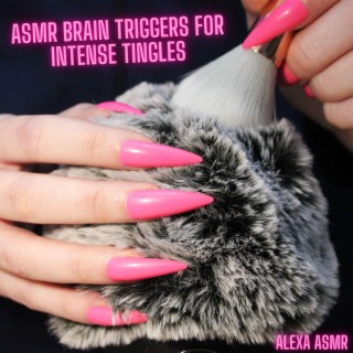 Asmr Brain Triggers for Intense Tingles