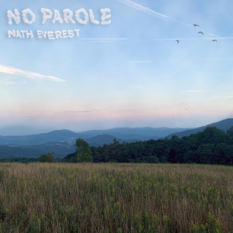 No Parole (sped up) | Boomplay Music