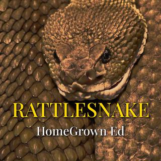 Rattlesnake