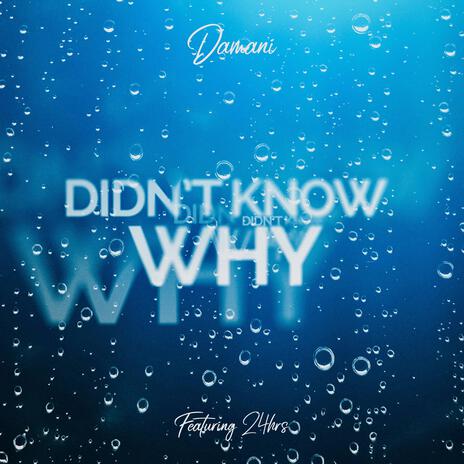 Didn't Know Why ft. 24hrs | Boomplay Music