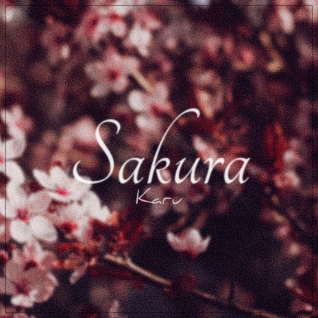 Sakura | Boomplay Music