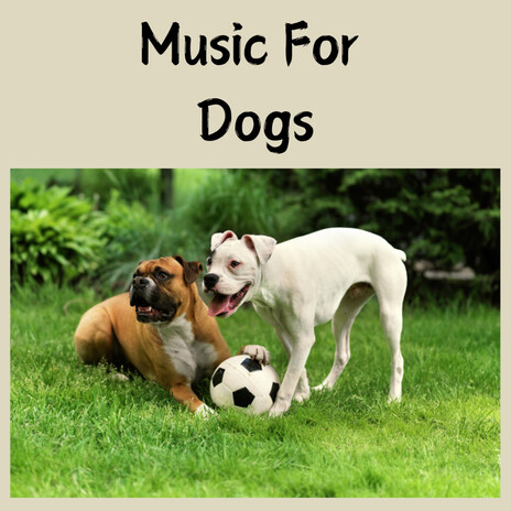Pet Therapy ft. Music For Dogs Peace, Relaxing Puppy Music & Calm Pets Music Academy