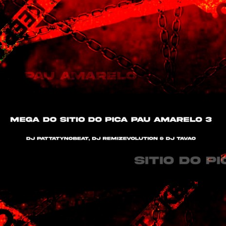 Mega do Sitio do Pica Pau Amerelo 3 ft. DJ PATTATYNOBEAT & DJ TAVÃO | Boomplay Music