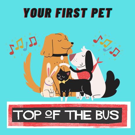 Your First Pet | Boomplay Music