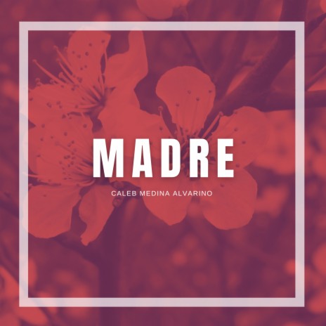 Madre | Boomplay Music