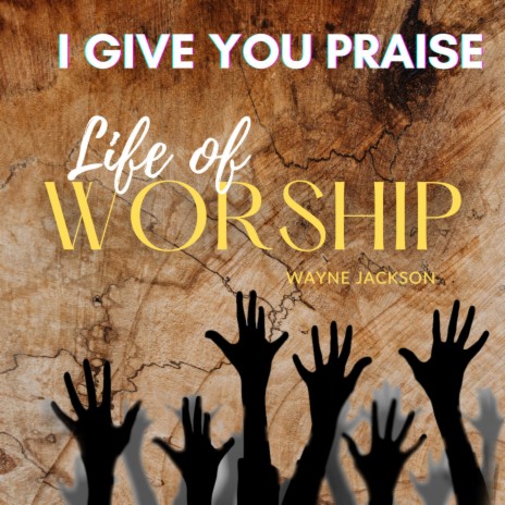 I Give You Praise | Boomplay Music