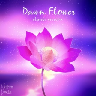 Dawn Flower