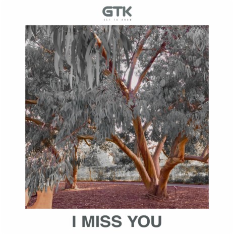 I Miss You (Edit) | Boomplay Music