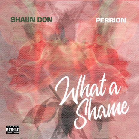 What A Shame ft. PERRION | Boomplay Music