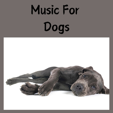 Sleepy Pup ft. Music For Dogs Peace, Relaxing Puppy Music & Calm Pets Music Academy