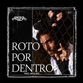 Roto por Dentro | Boomplay Music