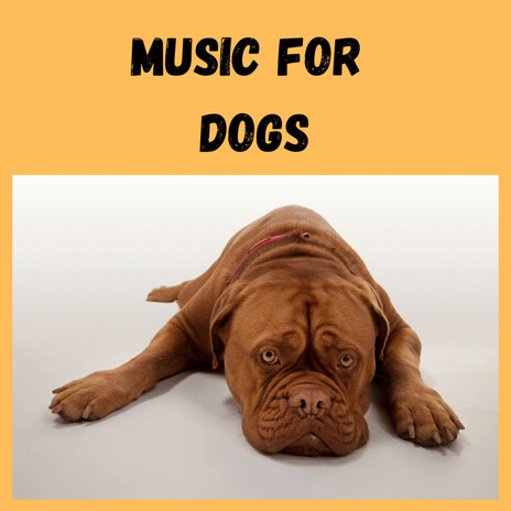 Gentle Dog Music ft. Music For Dogs Peace, Relaxing Puppy Music & Calm Pets Music Academy